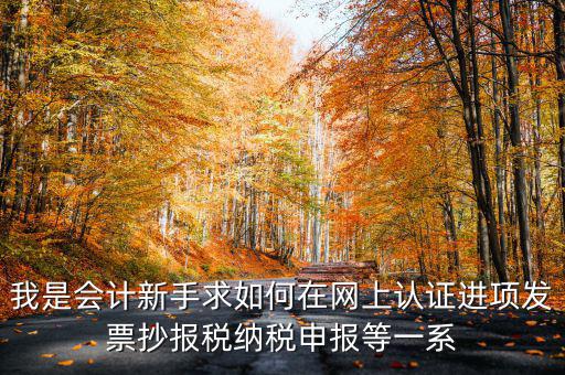 我是會計新手求如何在網上認證進項發票抄報稅納稅申報等一系