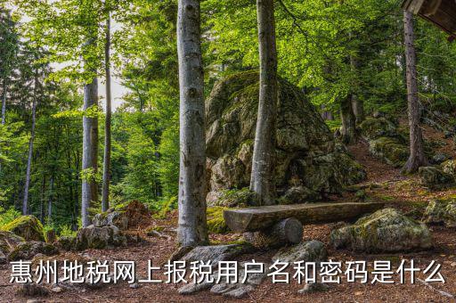 惠州地稅網上報稅用戶名和密碼是什么