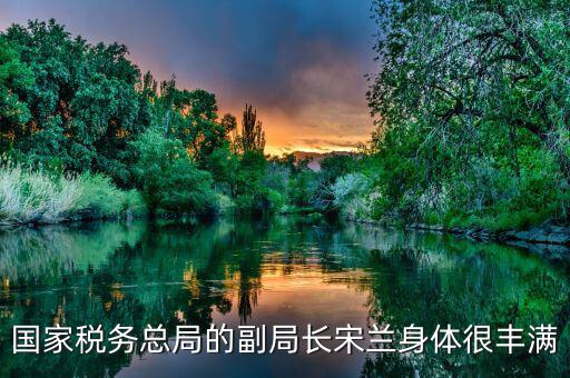 國家稅務總局的副局長宋蘭身體很豐滿