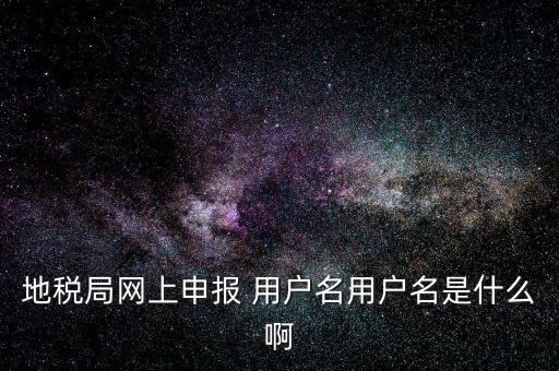 地稅局網上申報 用戶名用戶名是什么啊