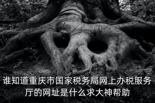 重慶稅務網站是什么，那個小型企業網上申報稅務的網站是多少啊發了一張流程表上