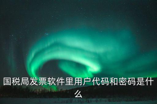 國稅局發票軟件里用戶代碼和密碼是什么