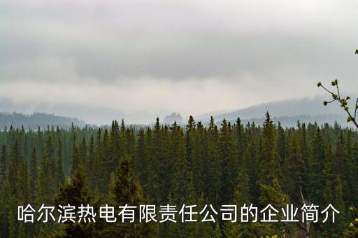 哈爾濱熱電有限責任公司的企業簡介