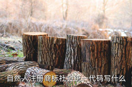 自然人注冊商標社會統一代碼寫什么