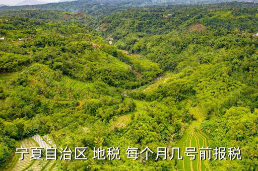 寧夏自治區 地稅 每個月幾號前報稅
