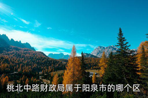桃北中路財政局屬于陽泉市的哪個區