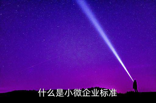 什么是小微企業標準