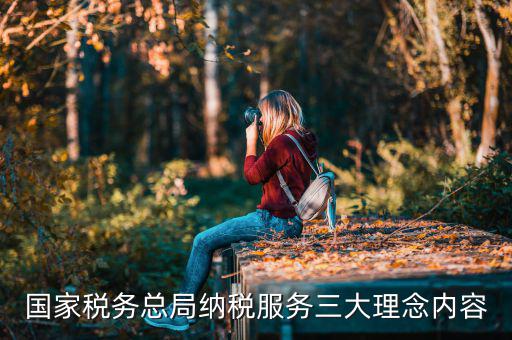 國家稅務總局納稅服務三大理念內容