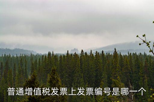 普通增值稅發票上發票編號是哪一個