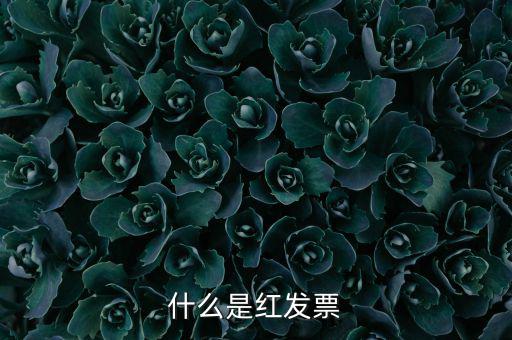 什么是紅發票