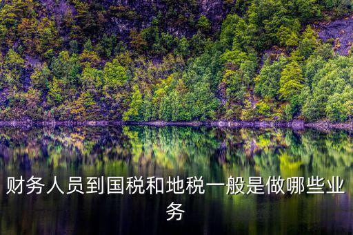 財務人員到國稅和地稅一般是做哪些業務