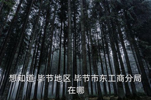 想知道 畢節地區 畢節市東工商分局 在哪