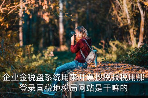 企業金稅盤系統用來開票抄稅報稅用那登錄國稅地稅局網站是干嘛的