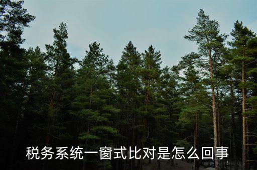 稅務系統一窗式比對是怎么回事