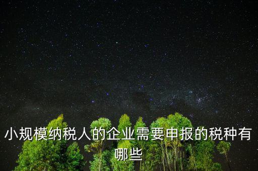 國(guó)稅小企業(yè)報(bào)什么稅，無(wú)錫 一般納稅人 小企業(yè)納稅人 國(guó)稅 地稅 分別要報(bào)哪些