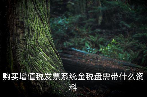 購買增值稅發票系統金稅盤需帶什么資料