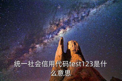 統一社會信用代碼test123是什么意思