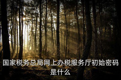 江蘇地稅登錄密碼是什么意思，江蘇地稅開票密碼是多少