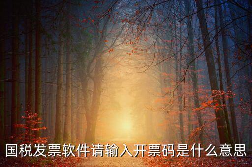 開票二維碼是什么軟件，天津國稅通用機打發票二維碼包含的內容解碼軟件
