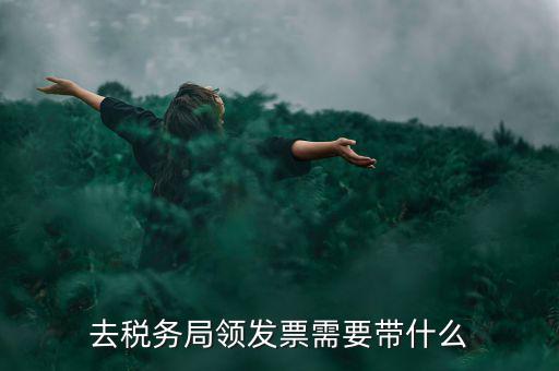 去稅務局領發票需要帶什么