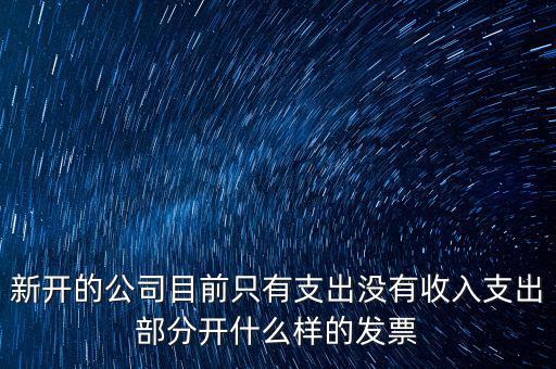 新開的公司目前只有支出沒有收入支出部分開什么樣的發票