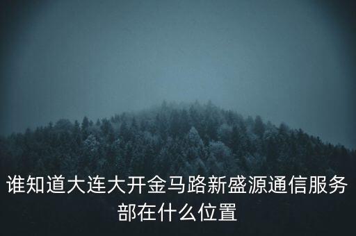 信息服務部可以叫什么地方，誰知道大連大開金馬路新盛源通信服務部在什么位置