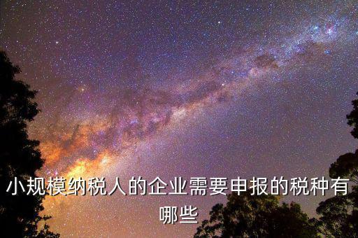 小規模納稅人的企業需要申報的稅種有哪些