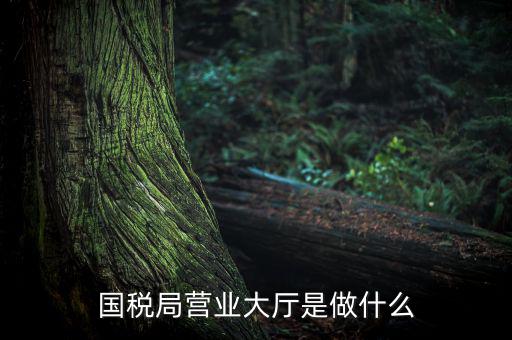 國稅局營業大廳是做什么
