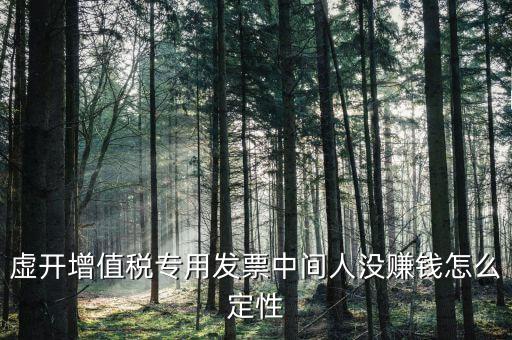 虛開增值稅專用發票中間人沒賺錢怎么定性