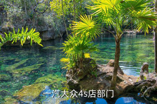 宋蘭去什么部門了，國家稅務總局的副局長宋蘭身體很豐滿