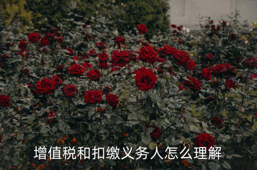 增值稅和扣繳義務人怎么理解