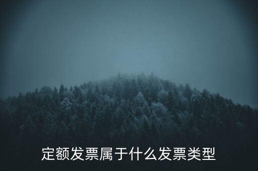 定額發票什么，河南省地稅定額發票怎么查詢