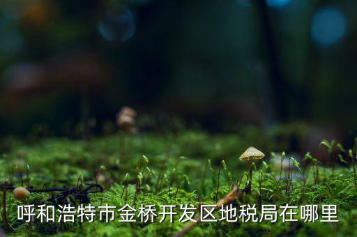 呼和浩特市金橋開發區地稅局在哪里