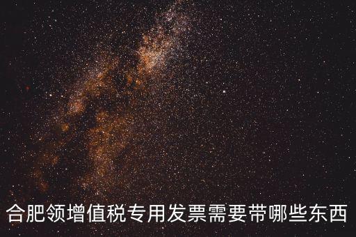 合肥領增值稅專用發票需要帶哪些東西