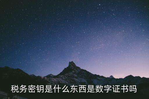 稅務密鑰是什么東西是數字證書嗎