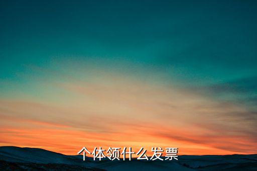 個體領什么發票