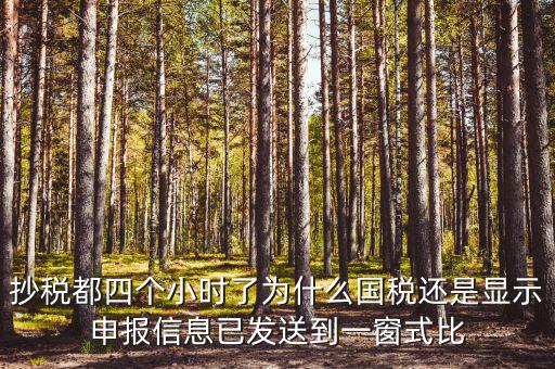 抄稅都四個小時了為什么國稅還是顯示申報信息已發送到一窗式比