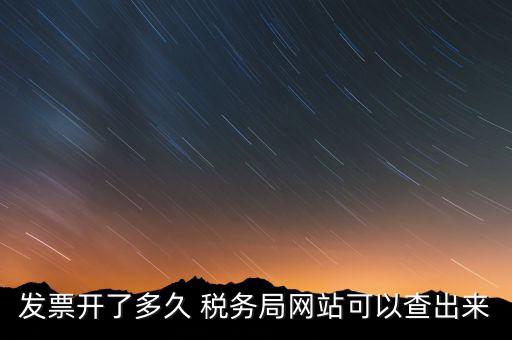 發票開了多久 稅務局網站可以查出來