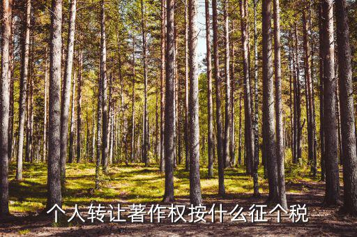 個人轉讓著作權按什么征個稅