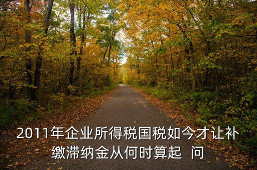 2011年企業所得稅國稅如今才讓補繳滯納金從何時算起  問