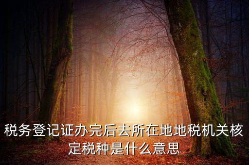 稅務登記證辦完后去所在地地稅機關核定稅種是什么意思