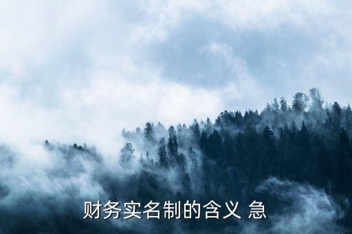 稅務實名制是什么意思，財務實名制的含義 急