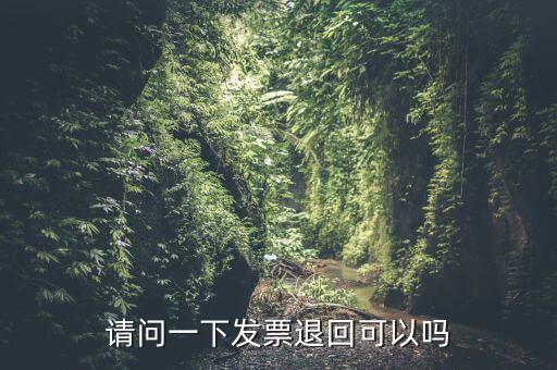 請問一下發票退回可以嗎
