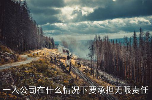 什么人承擔無限納稅義務，什么人不用納稅