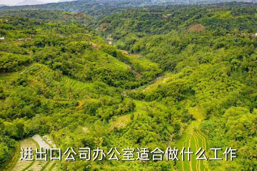 會做進出口公司審批備案的找什么工作，進出口企業備案怎么弄找哪個部門
