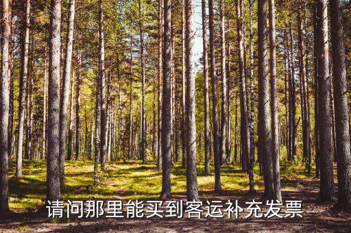 什么是客運補充發票，公路客運補充票是正規的發票嗎可以報嗎