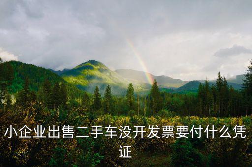 小企業出售二手車沒開發票要付什么憑證