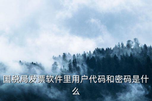 網(wǎng)上認(rèn)證發(fā)票平臺(tái)密碼是什么樣的，國(guó)稅局發(fā)票軟件里用戶(hù)代碼和密碼是什么