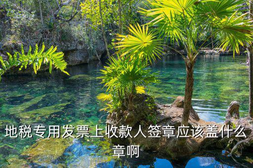 地稅專用發票上收款人簽章應該蓋什么章啊