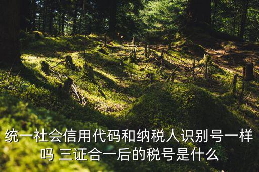 統一社會信用代碼和納稅人識別號一樣嗎 三證合一后的稅號是什么